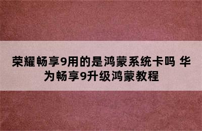 荣耀畅享9用的是鸿蒙系统卡吗 华为畅享9升级鸿蒙教程